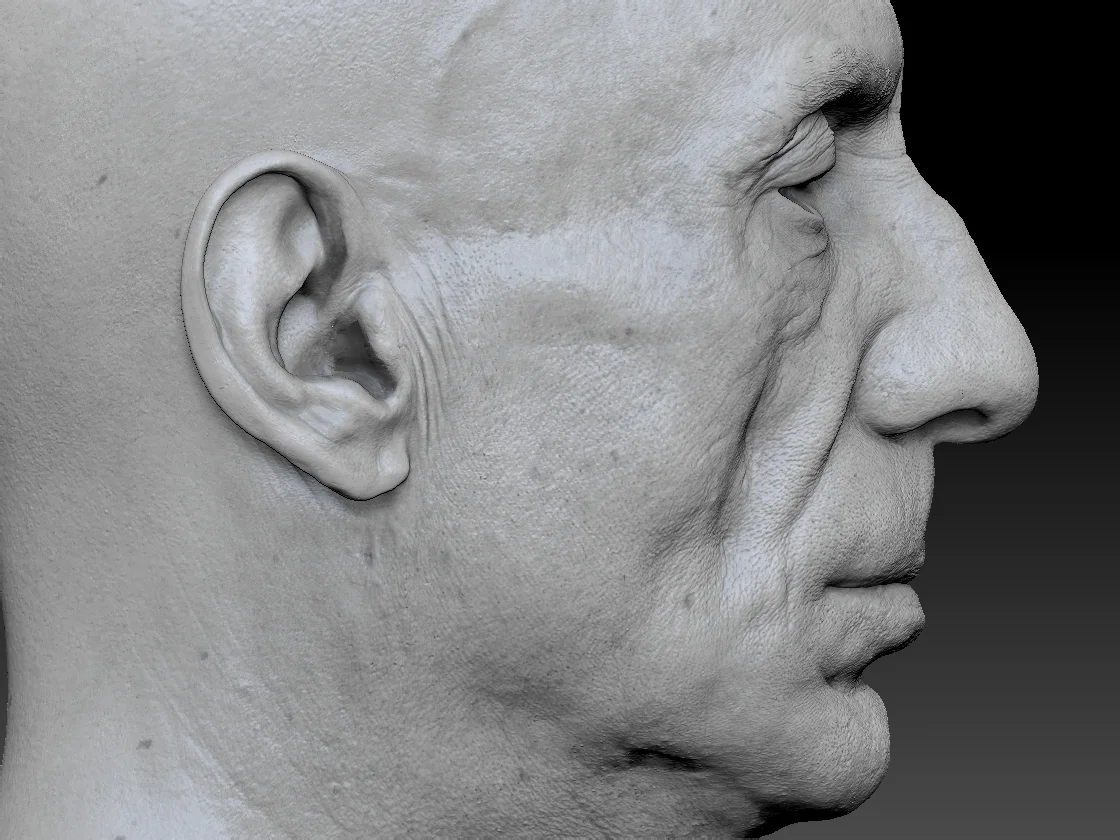 Human heads and FACS scans Render
